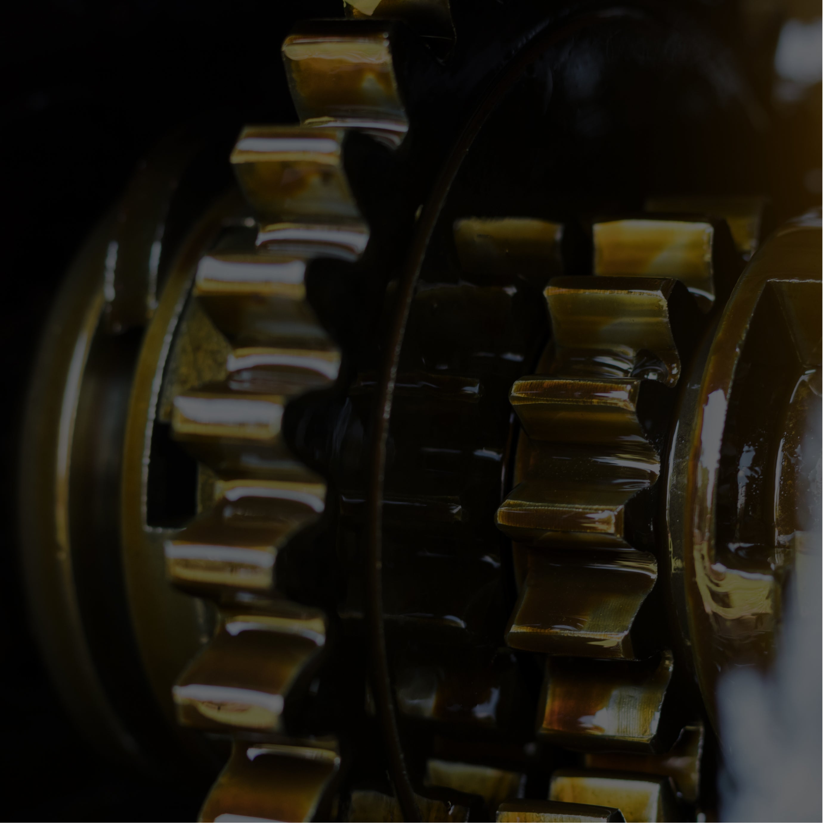 Gear Oils